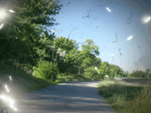 Point-of-view image showing flashes and floaters over a sunny path, representing seeing spots in vision.
