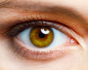 Your eye shape can determine if you will develop myopia. Find treatment with Wellish Abrams Vision Institute, in Las Vegas, Nevada.